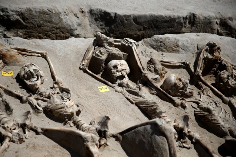 Journey into the Past: Unraveling the Story Behind 80 Ancient Skeletons with Hands Tied above Heads