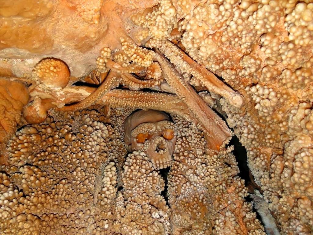 Altamura Man: Unearthing the Life and Death of an Ancient Neanderthal - NY NEWS