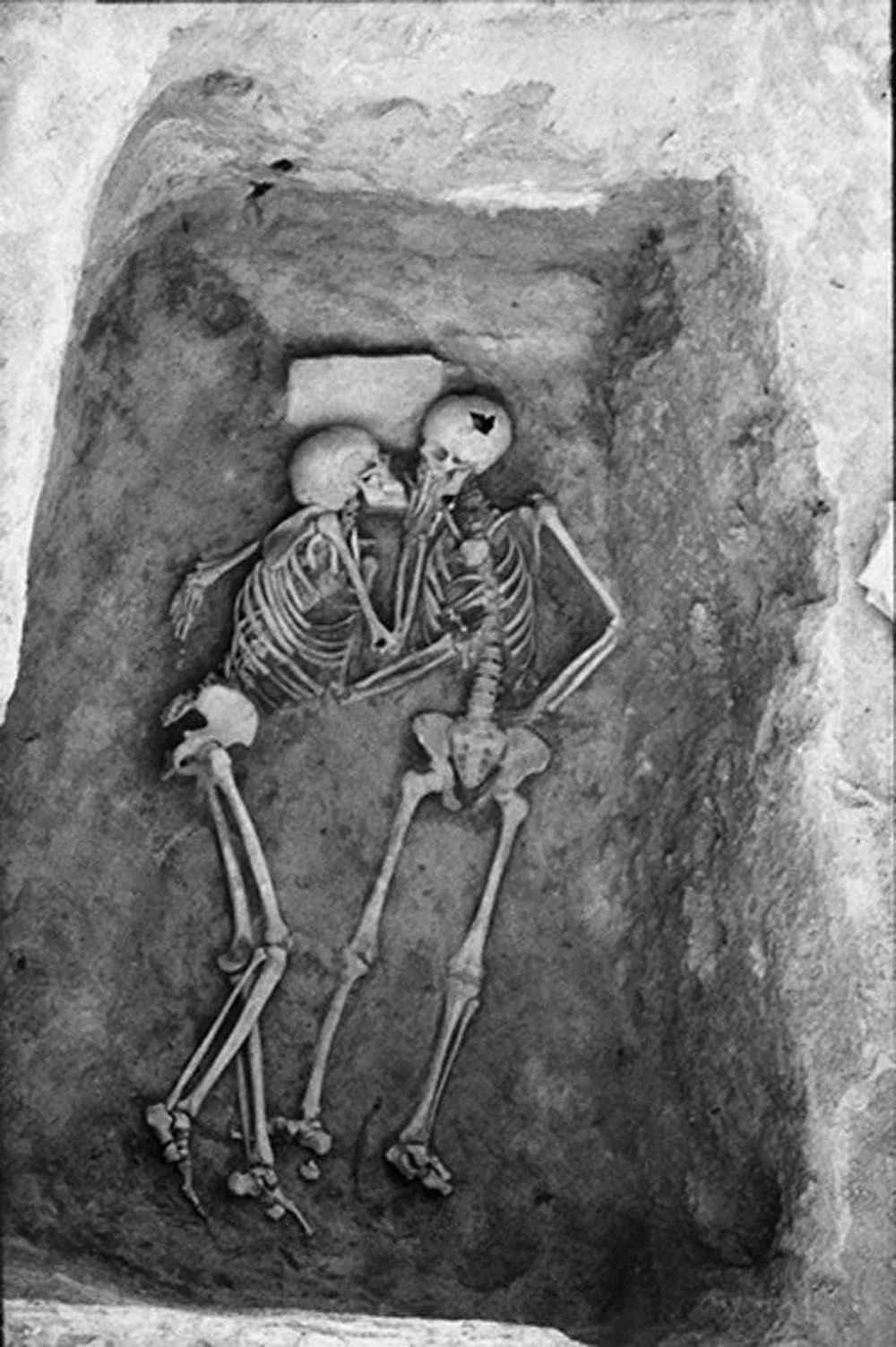 The 2,800-year-old Hasanlu Lovers were found in a bin in Iran. - T-News