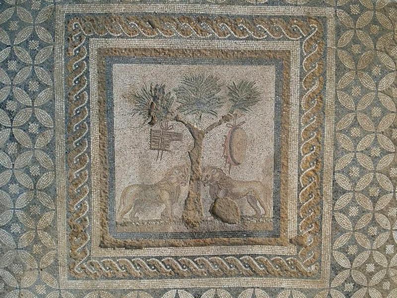 Roman lion mosaic unearthed in ancient city Prusias ad Hypium