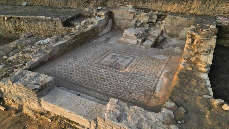 Roman lion mosaic unearthed in ancient city Prusias ad Hypium